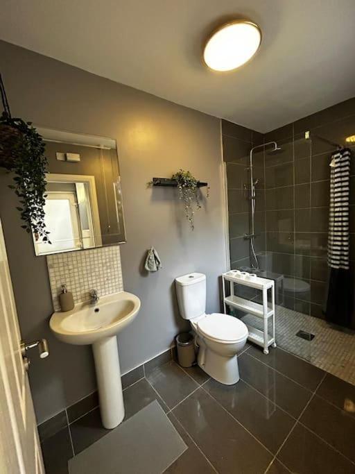 Vibrant City Centre Townhouse With Free Parking Rare Outdoor Patio Belfast Esterno foto